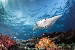 Winter light and clear water in Okinawa by Andrew Delano 